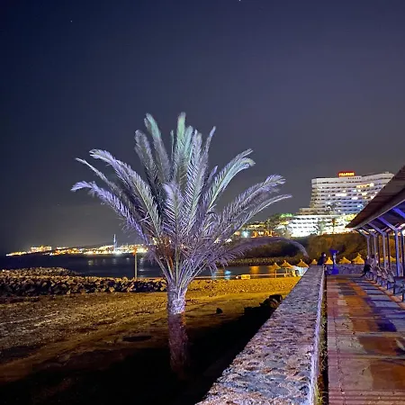 Las Flores Studio 4 Playa de las Americas  Exterior photo